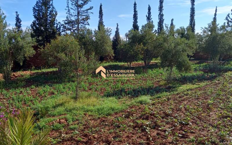 Maison Hamid Ounagha (1)